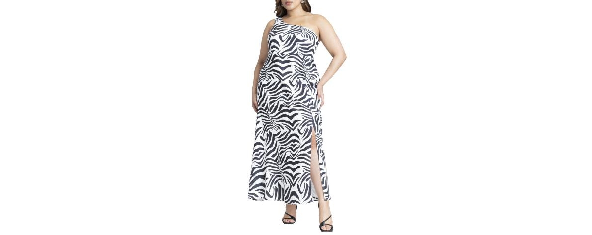 Plus Size Zebra Print Flowy Maxi Dress - Classic zebra