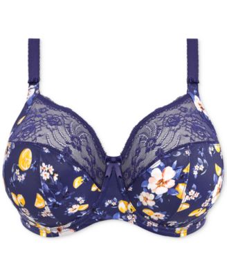 Full Figure Morgan Banded Underwire Stretch Lace Bra EL4110, Online Only 