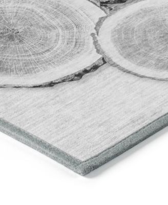 Chantille Machine Washable ACN575 2'6x3'10 Area Rug