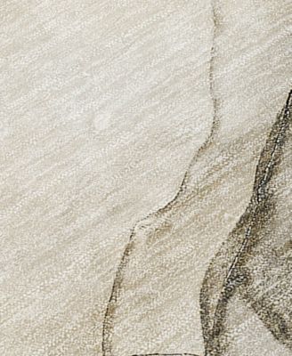 Chantille Machine Washable ACN502 8'x10' Area Rug