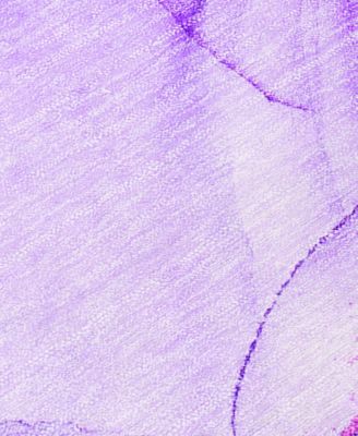 Chantille Machine Washable ACN507 8'x10' Area Rug