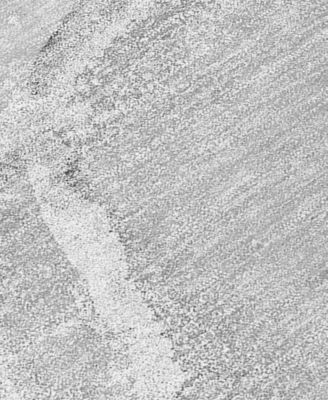 Chantille Machine Washable ACN510 9'x12' Area Rug