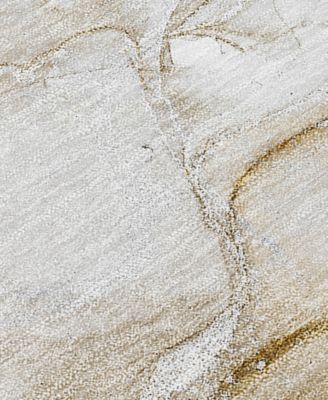 Chantille Machine Washable ACN516 8'x10' Area Rug