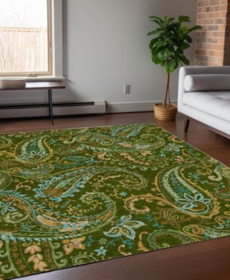 Chantille Machine Washable ACN533 2'6x3'10 Area Rug