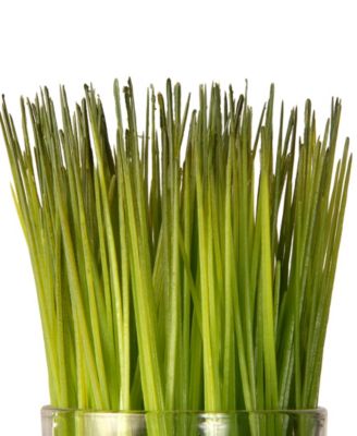 3-Piece Sprout-Filled Glass Assortment