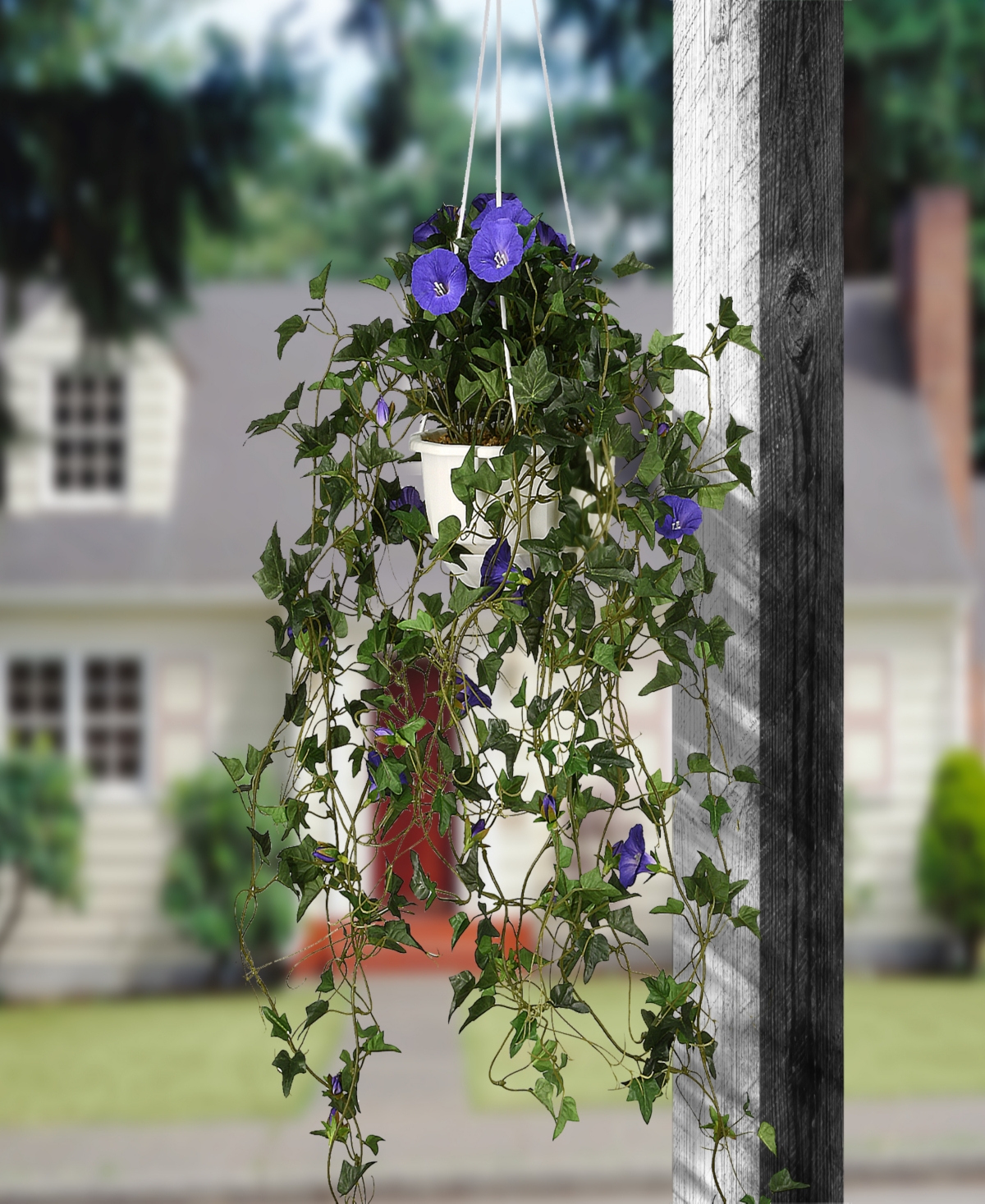 National Tree Company 44 Hanging Morning Glory Plant In Green