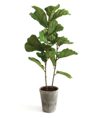 National Tree Company