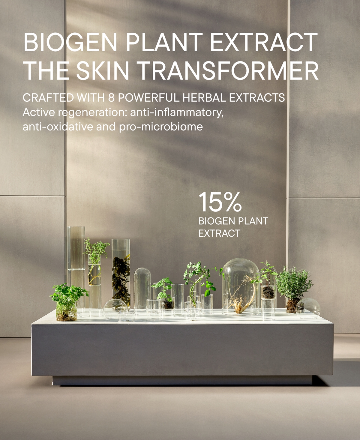 Babor Renewal Cream In No Color