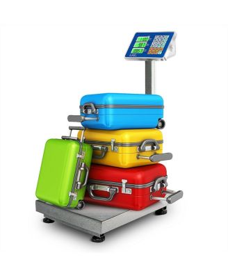 660 lbs Weight Platform Scale Digital Floor Folding Scale