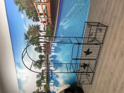 Metal Garden Arch for Support and Events