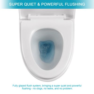 Ceramic One Piece Toilet, Dual Flush With Soft Closing Seat 0000