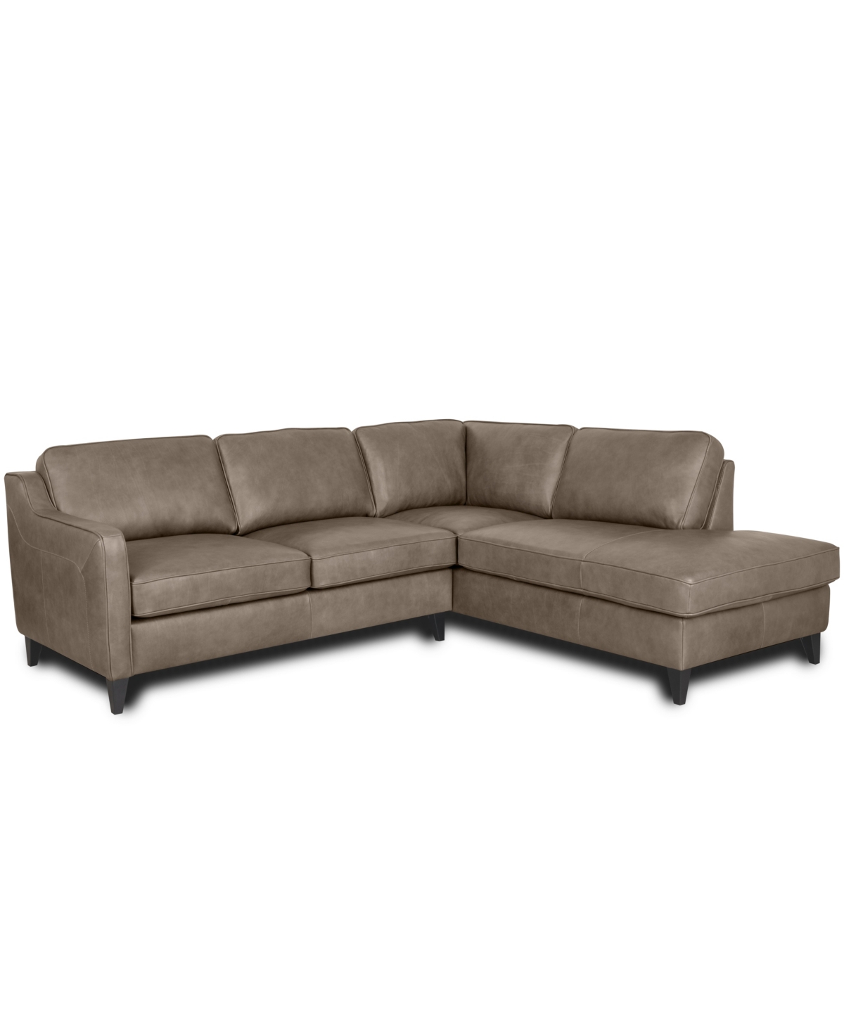 Rutherford Home Bari Leather 2-piece Sectional