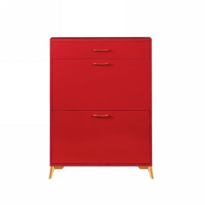 Shoe Cabinet for Home or Office Use