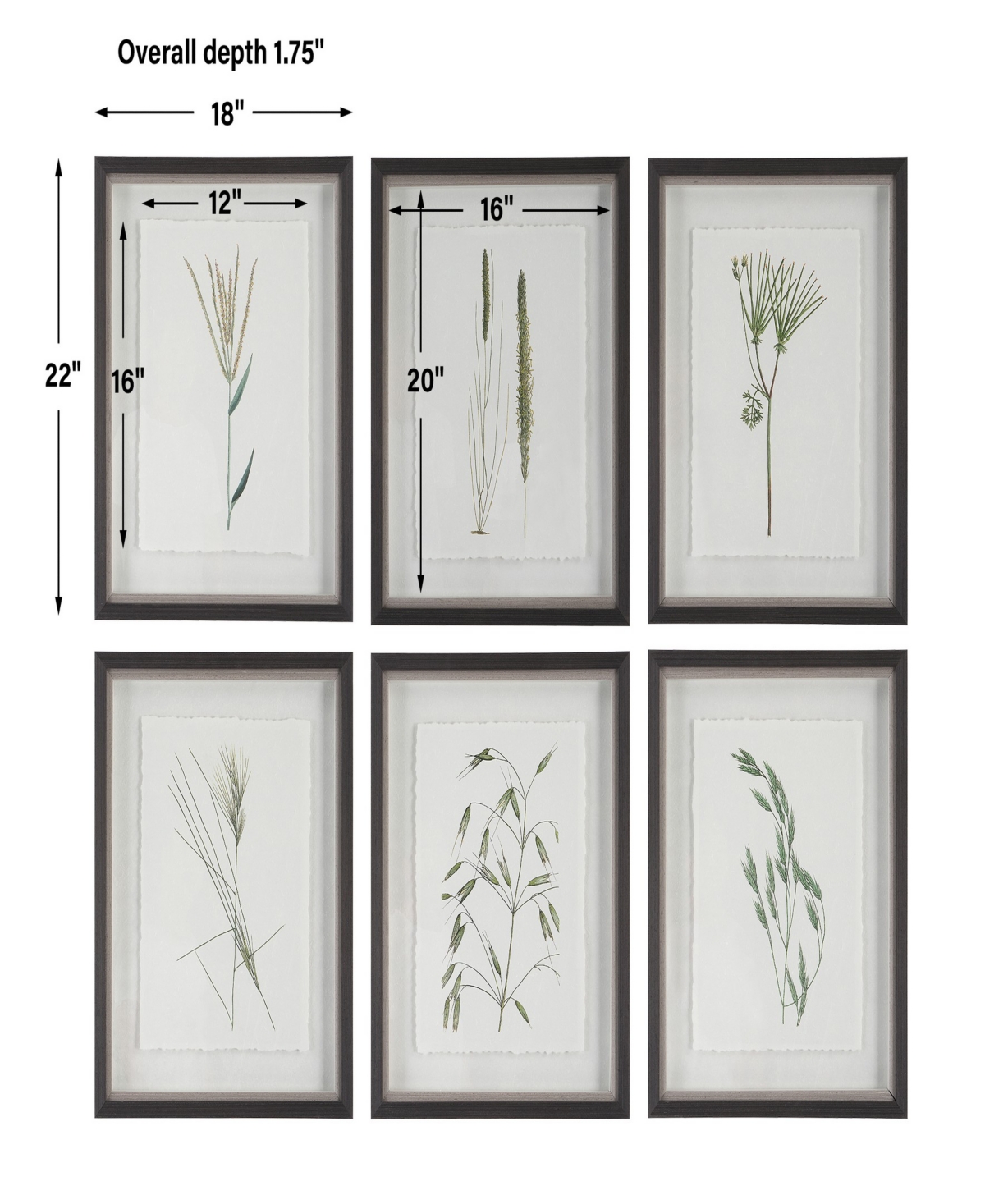 Uttermost Forest Finds Framed Prints Art, Set Of 6 In Green