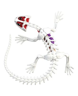 Amazing Creatures Synthetic Dissection Kit - Salamander