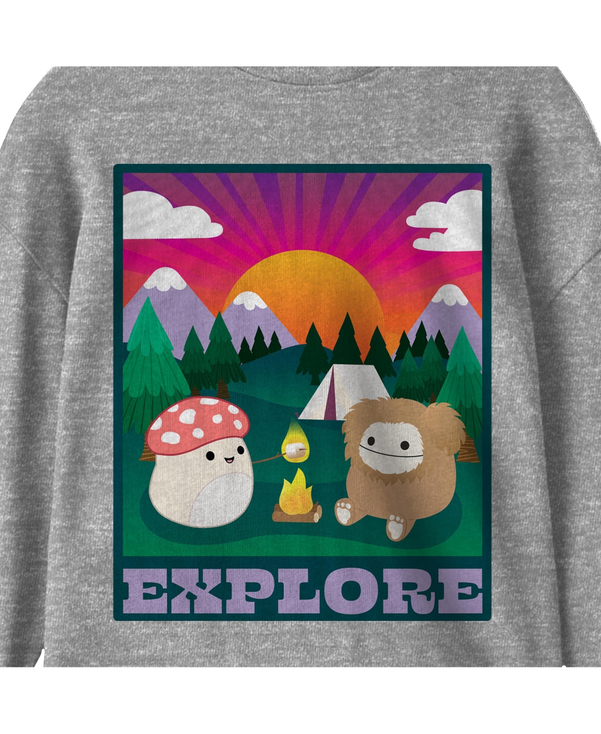 Squishmallows Boys Explore Crew Neck Long SleeveYouth Tee - Gray