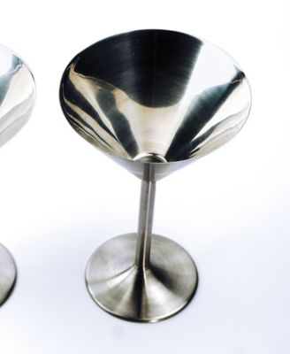 Endurance Martini Glass 2 Piece Set 4.5x7"