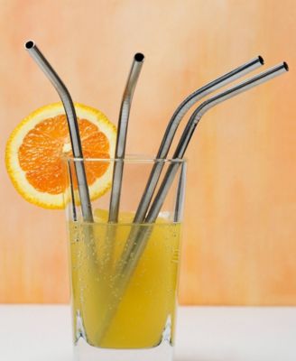 Endurance Stainless Steel 4 Piece 8.5"Straw Set