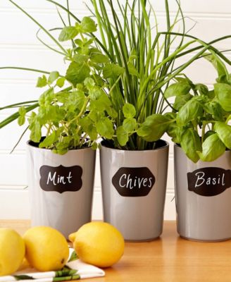 Silicone 31 Piece 2.25" x 1.5" Spice Label and Chalk Marker Set