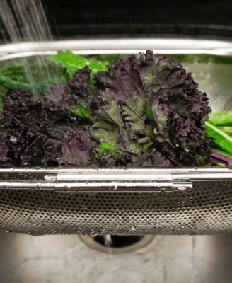 Endurance Pierced Stainless Steel In-Sink Drainer