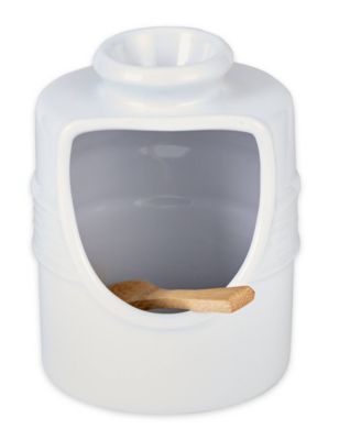 Stoneware 2 Piece 6 Ounce Matte White Salt Pig and Spoon Set