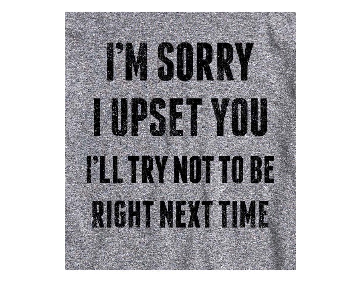 Hybrid Apparel Sorry I Upset You Men's Short Sleeve Tee