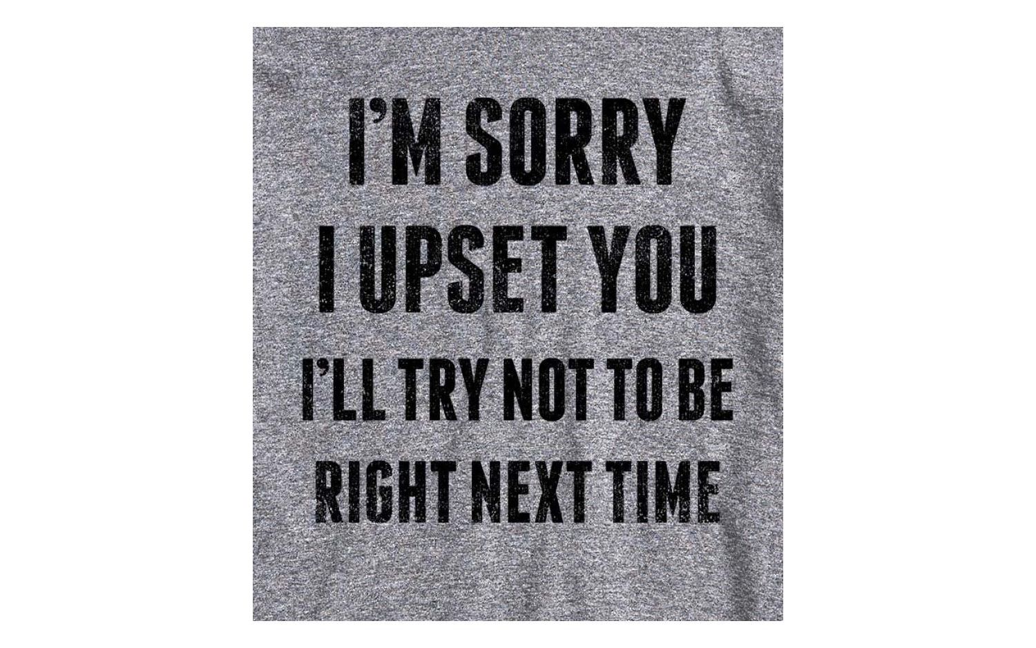 Hybrid Apparel Sorry I Upset You Men's Short Sleeve Tee