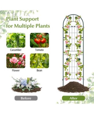 2 Pack 71 x 20 Inch Metal Garden Trellis Rustproof Plant Support for Climbing Plants