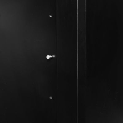 Streamdale Vintage Black Wood 2-Door Cabinets