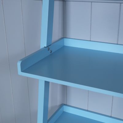  5 - Tier Ladder Shelf