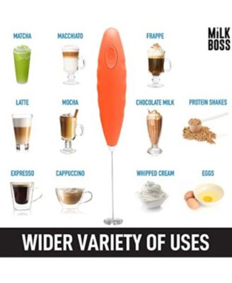 Stainless Steel Milk Frother