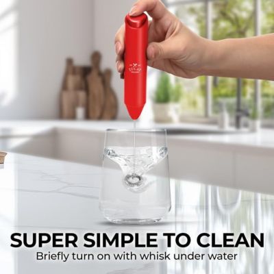 Powerful Handheld Mini FrothMate Milk Frother Stainless Steel - No Stand