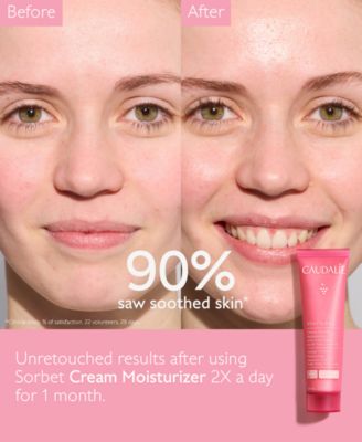 VinoHydra Sorbet Cream Moisturizer, 2 oz.