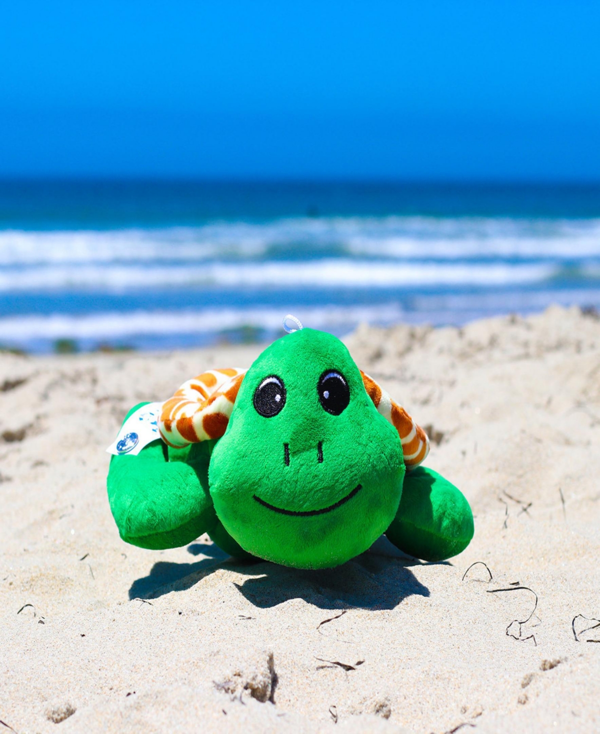 Shore Buddies Shelly The Sea Turtle Plush Toy In Multi