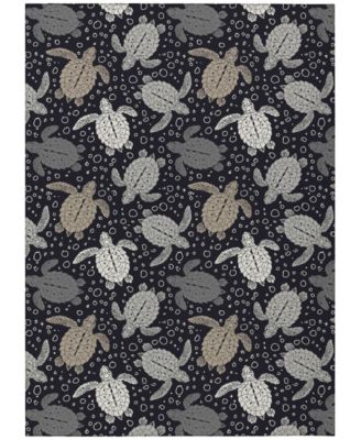 Seabreeze Washable SZ13 3'x5' Area Rug