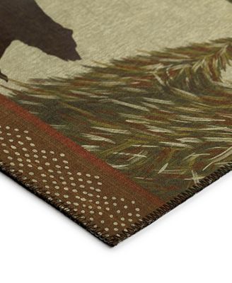 Excursion Washable EX1 8'x10' Area Rug