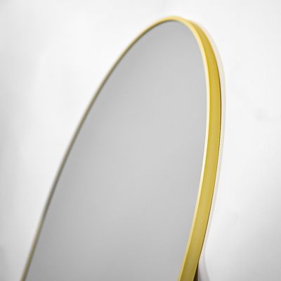 Arched Wall Mounted Mirror 26"x38" in Gold