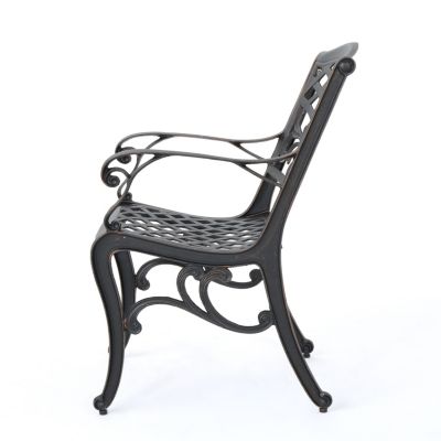 Elegant Ornate Dining Chairs with Cast Aluminum Frame