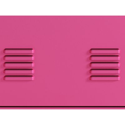 Compact Rose Storage Cabinet Ample Space, Easy Assembly