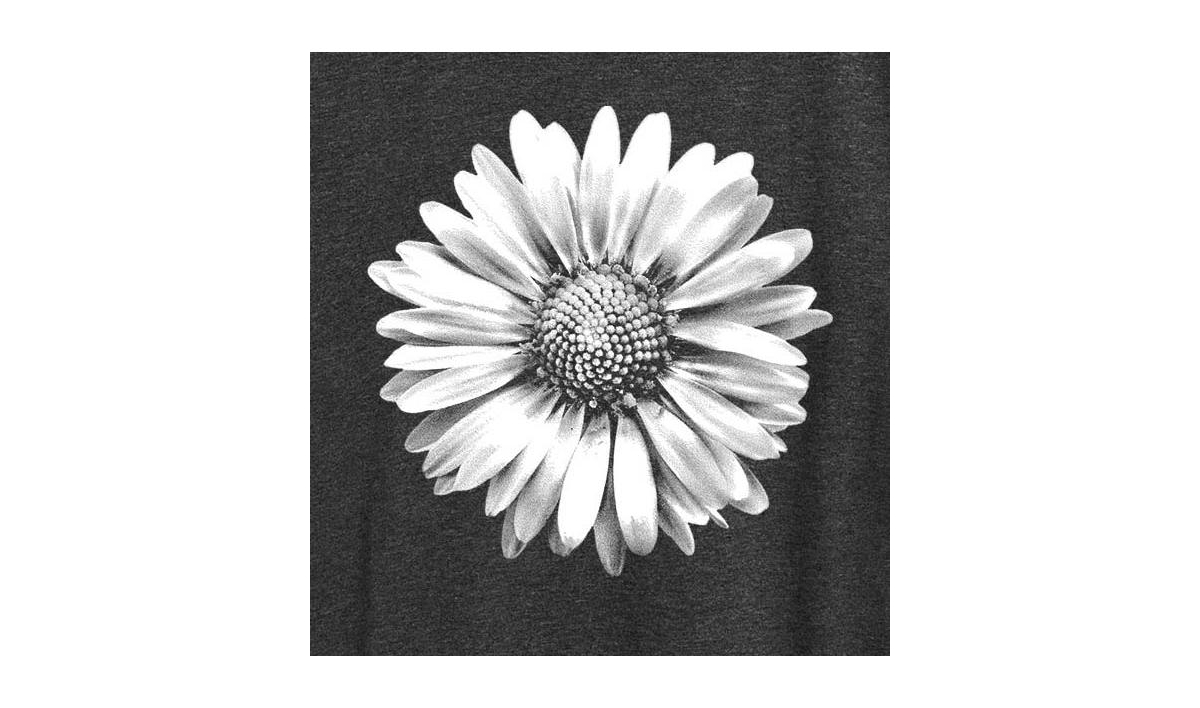 Hybrid Apparel White Daisy Plus Size Graphic T-shirt In Heather Charcoal