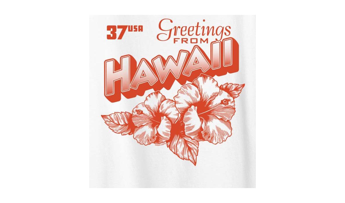 Hybrid Apparel Usps Hawaii Stamp Plus Size Graphic T-shirt In White