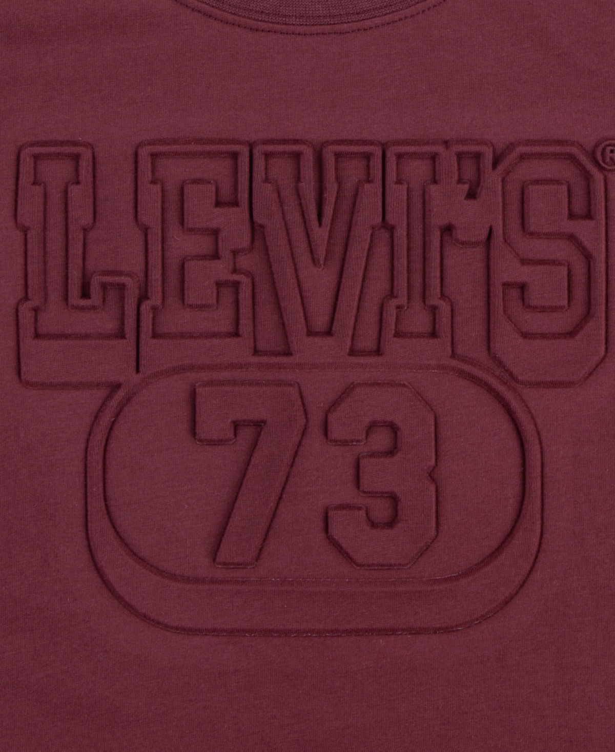 Levi's Big Boys Embossed Tee