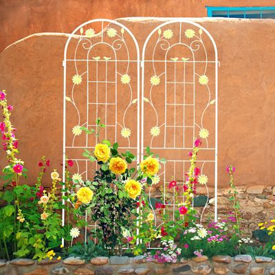 Rustproof Metal Garden Trellis for Climbing Plants
