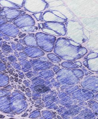 Addison Chantille Machine Washable ACN707 5'x7'6" Area Rug