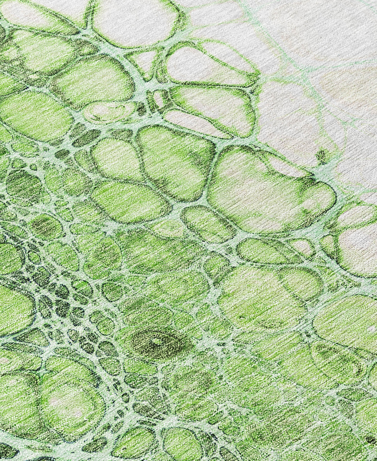 Addison Chantille Acn682 3'x5' Area Rug In Moss