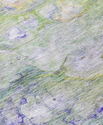 Chantille Machine Washable ACN698 8'x10' Area Rug