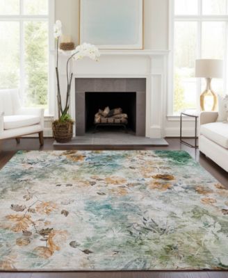 Chantille Machine Washable ACN724 5'x7'6" Area Rug