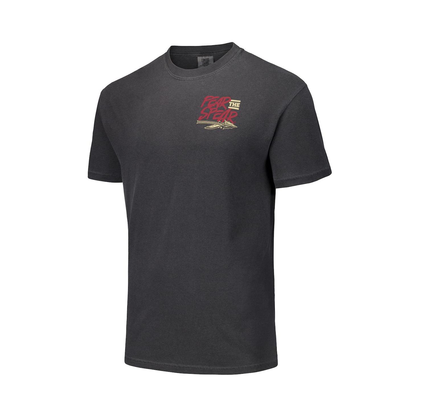 Men's and Women's Black Florida State Seminoles Hyper Local Statue Stadium Nation T-Shirt
