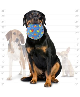 Ball Large Celebration, Durable Squeaky Dog Toy