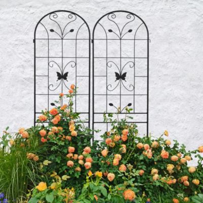Extendable Garden Trellises 80" Tall, Rust-Resistant, Supports Vines & Climbing Plants